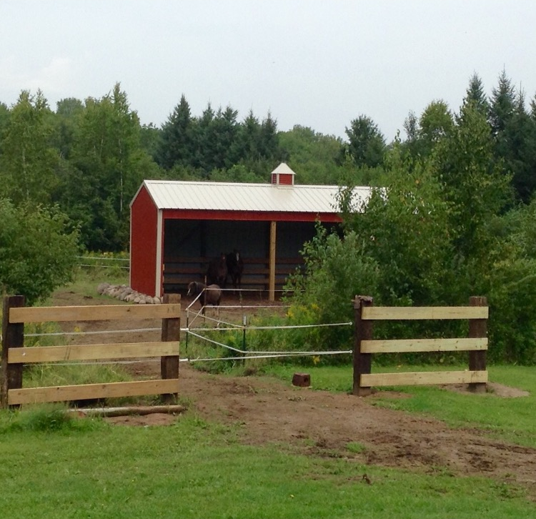 Stable